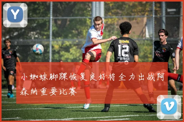 小蜘蛛脚踝恢复良好将全力出战阿森纳重要比赛